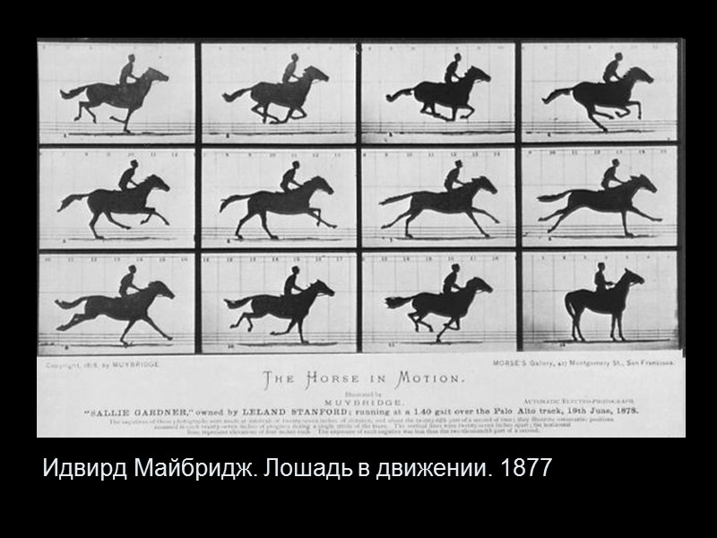 Идвирд Майбридж. Лошадь в движении. 1877
